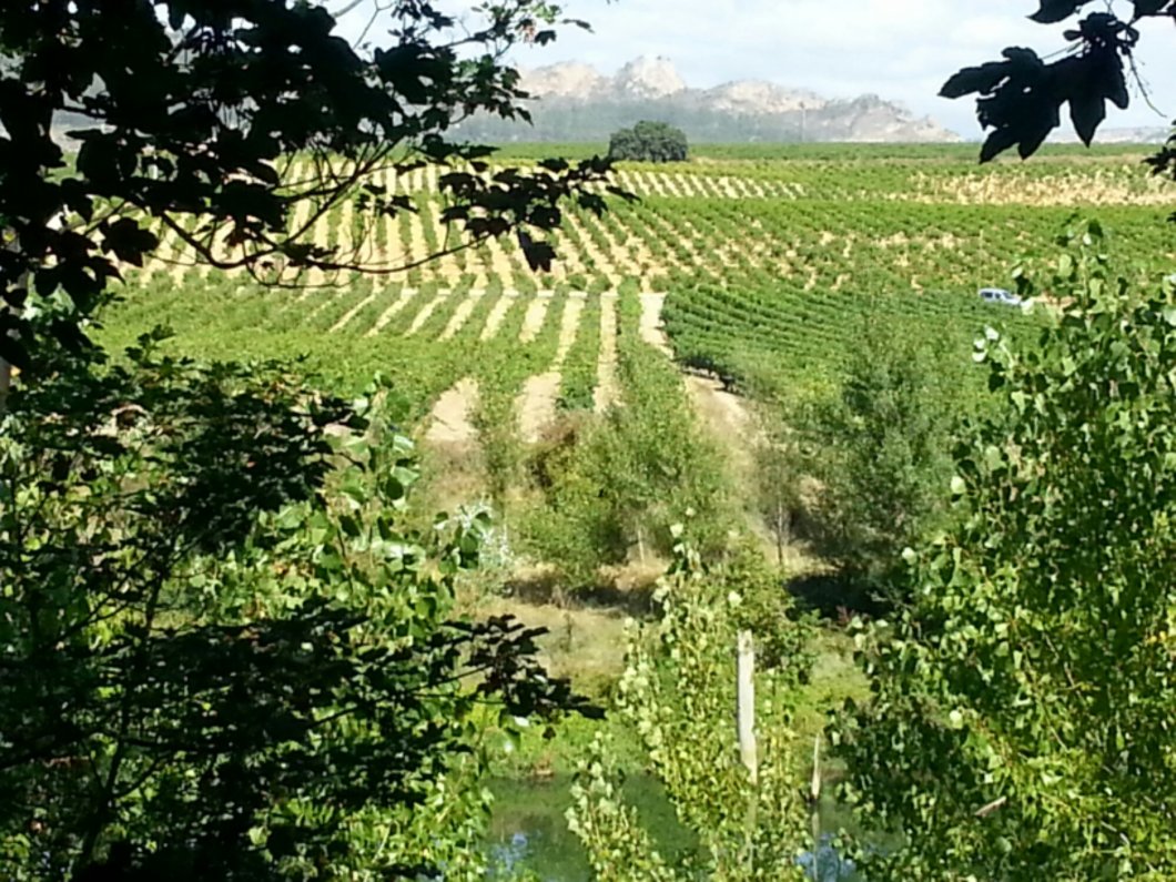 wp-1395777881819 image