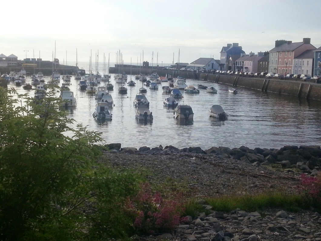 wp-1404541152134 image