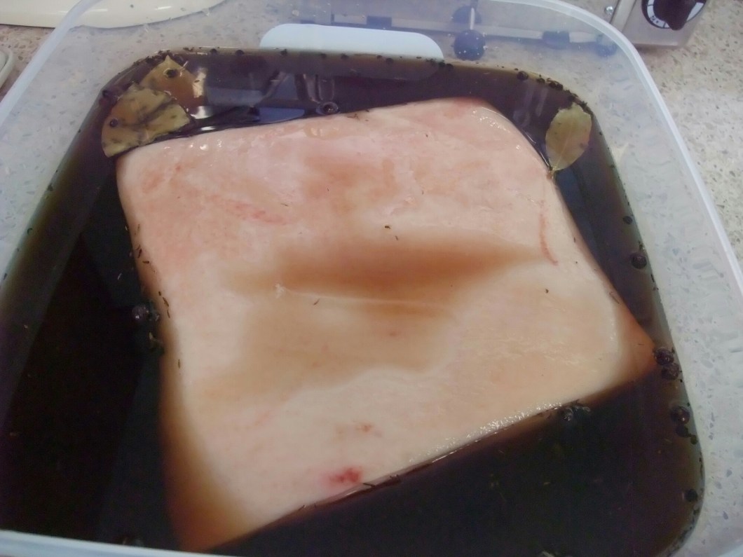 wp-1407009828606 image