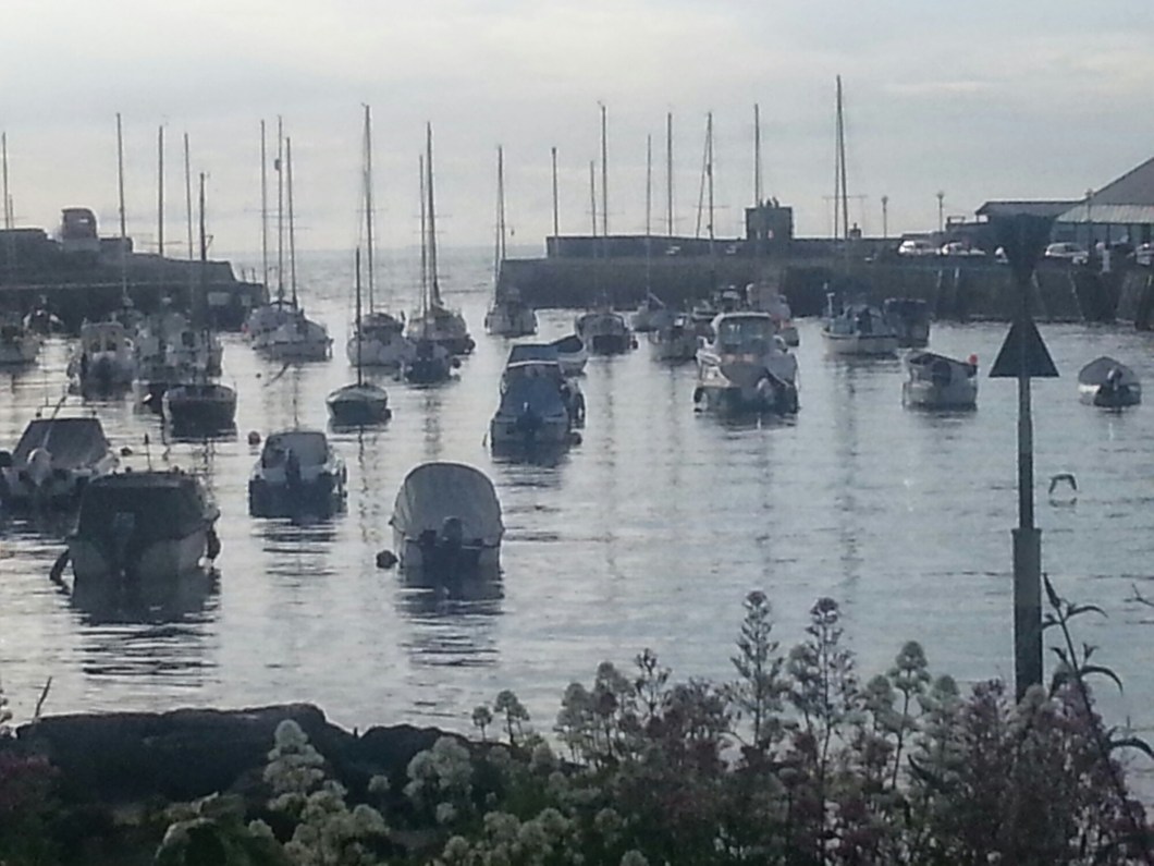 wp-1413113475155 image