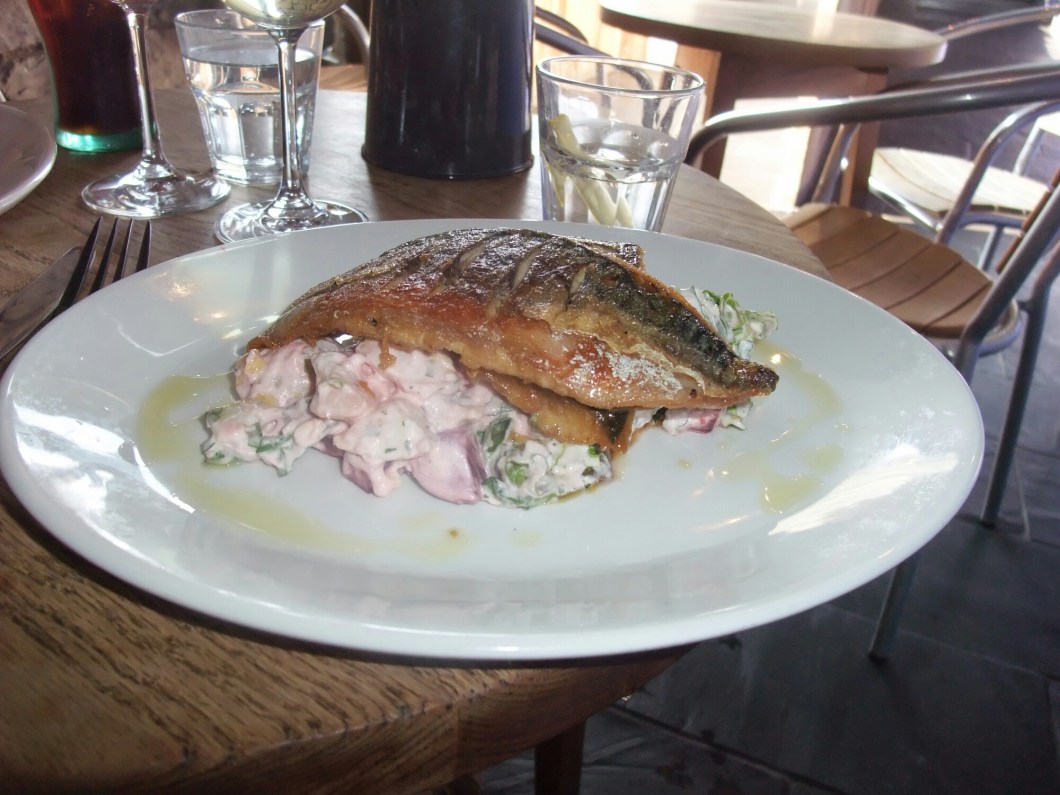 wp-1413114838700 image