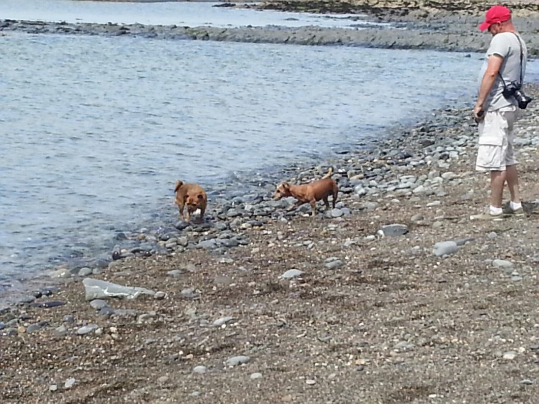 wp-1413115963970 image