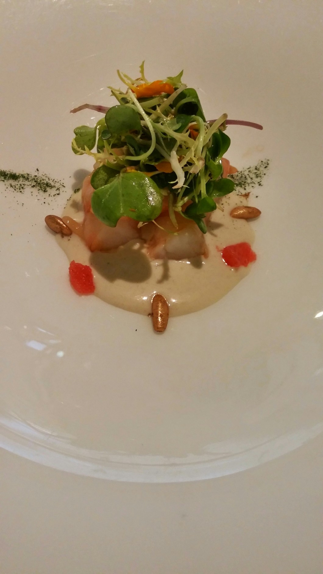 wp-1416065043579 image