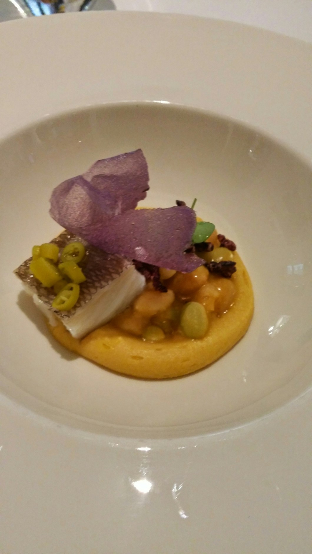 wp-1416065138020 image