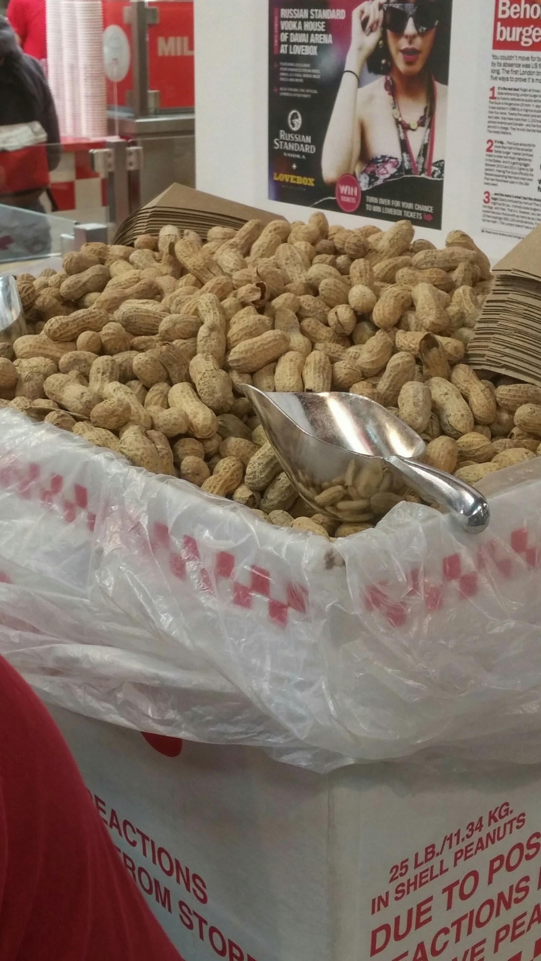 wp-1428126861738 image