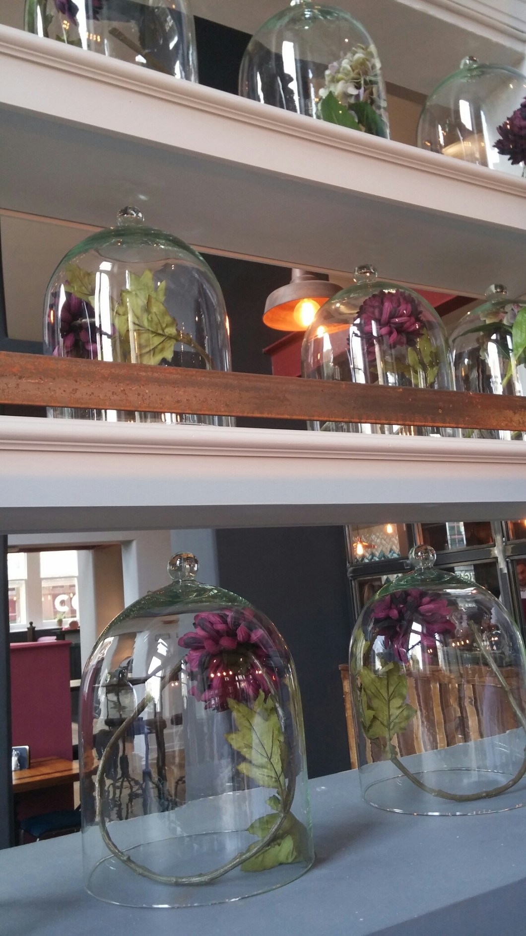 wp-1444396564087 image