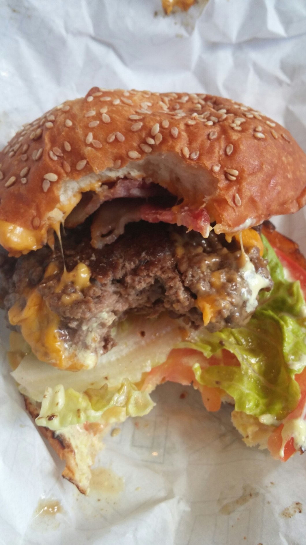 wp-1444396776441 image