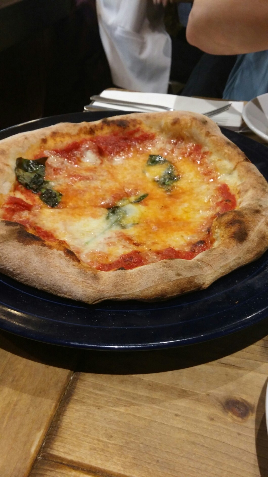 wp-1452619620161 image