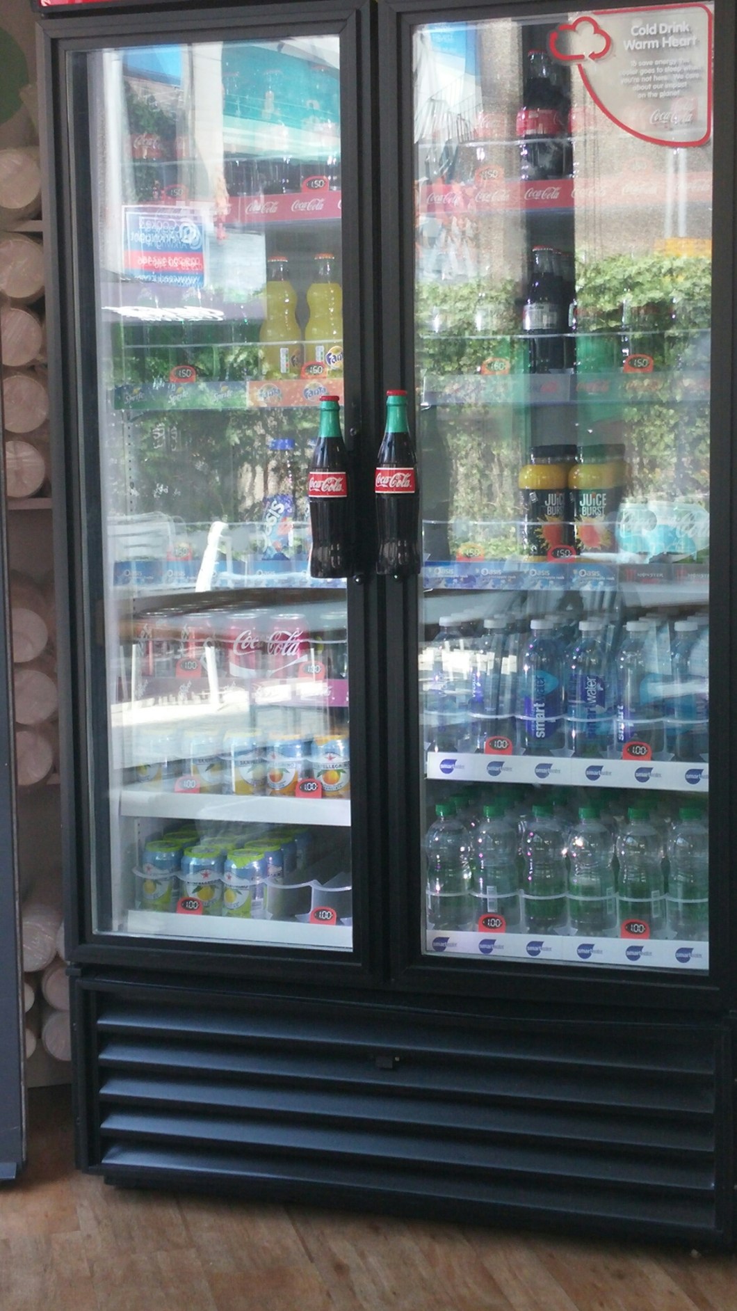 wp-1465399287264 image