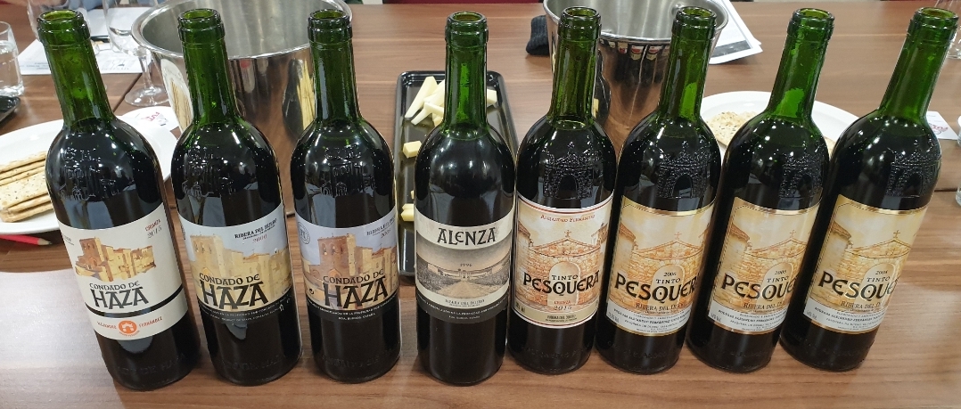 Template tempranillo? A tasting of the Ribera del Duero wines of